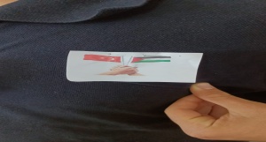 Filistin farkındalık eğitim